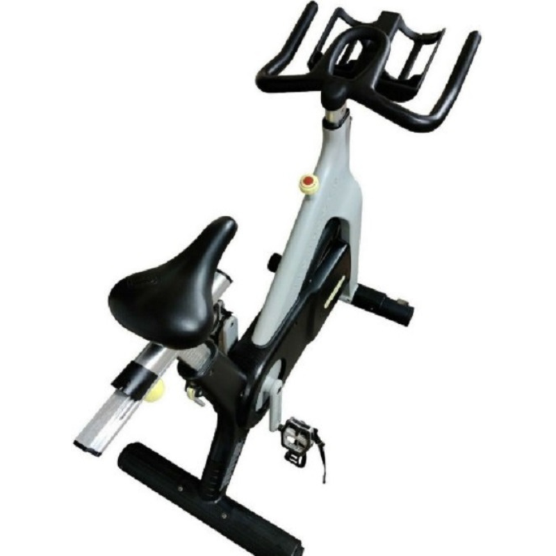 Stationary Technogym Indoor Cycling Bike