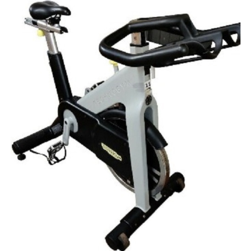 Stationary Technogym Indoor Cycling Bike