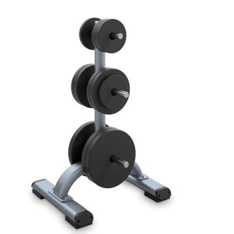 Precor Weight Plate Tree DISCOVERY