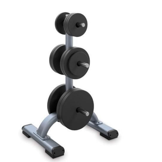 Precor Weight Plate Tree DISCOVERY